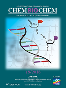 ChemBioChem Cover