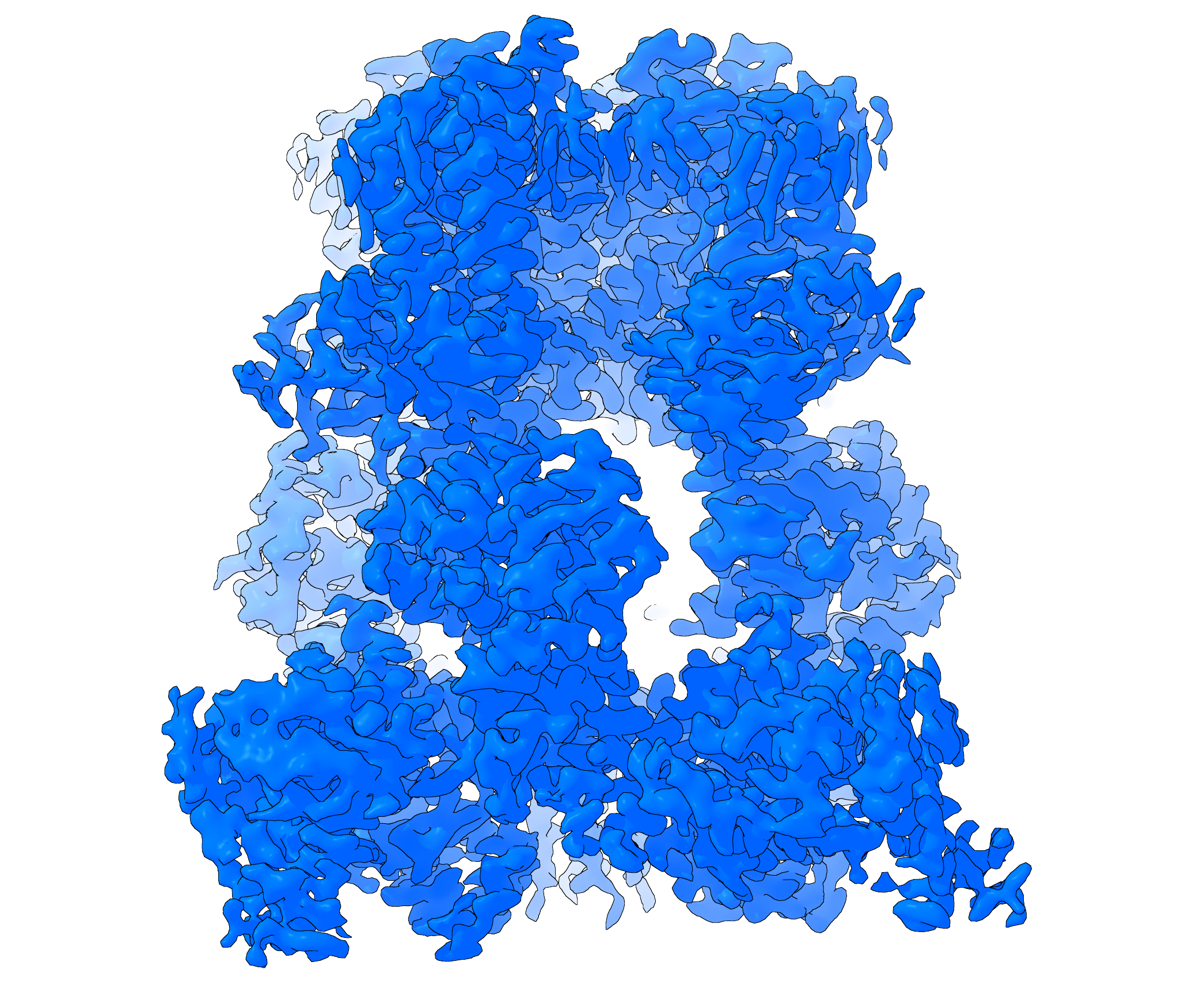 Cryo-EM Map